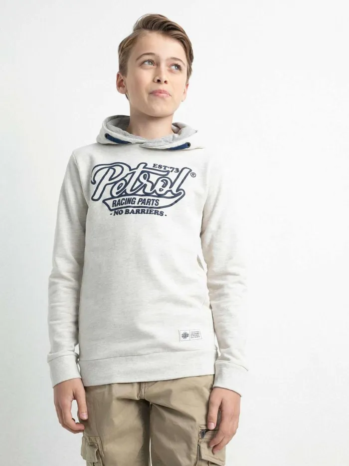 Boys Knits and Sweats Petrol Industries Hoodie With Logo Artwork Antique White Melee