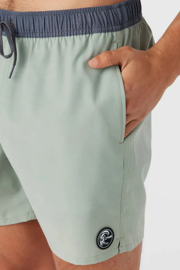O039RIGINALS SOLID VOLLEY 16034 SWIM TRUNKS Seagrass Men O039NEILL Featured