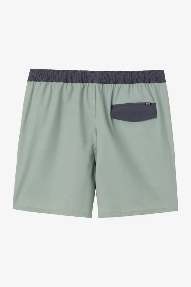 O039RIGINALS SOLID VOLLEY 16034 SWIM TRUNKS Seagrass Men O039NEILL Featured
